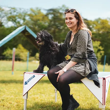 Hof Koehne - Altes - Hase Lejlighed Schmallenberg