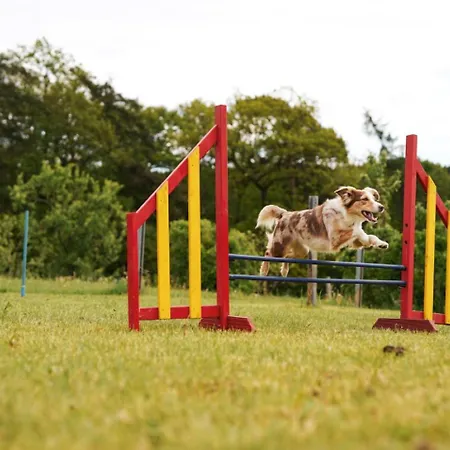Hof Koehne - Altes - Hase Schmallenberg