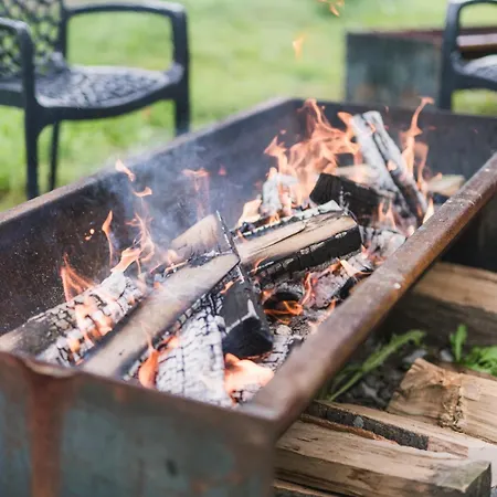 Hof Koehne - Altes - Hase Schmallenberg