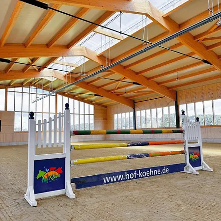 Hof Koehne - Altes - Hase Schmallenberg