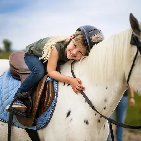 Hof Koehne - Altes - Hase