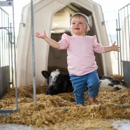 Hof Koehne - Altes - Hase Lejlighed Schmallenberg