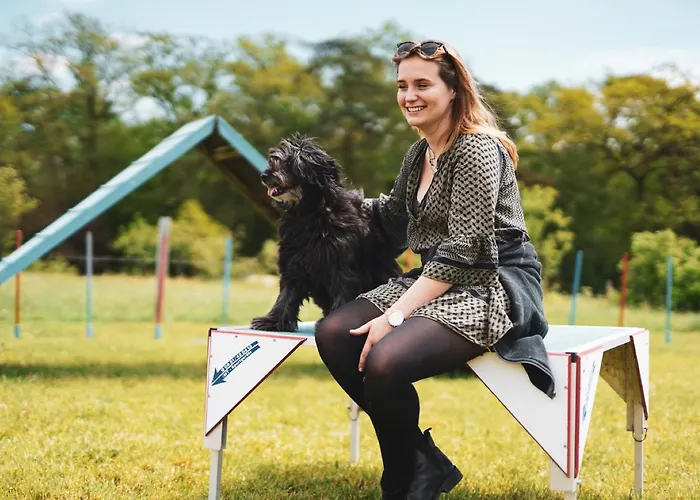 Hof Koehne - Altes - Hase Apartment Schmallenberg