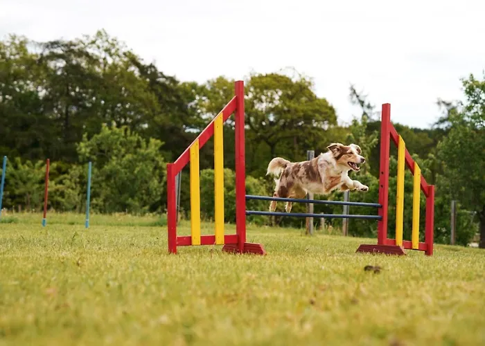Hof Koehne - Altes - Hase Schmallenberg