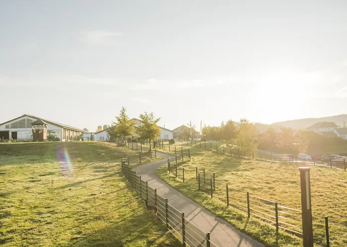 Hof Koehne - Altes - Hase Apartment Schmallenberg