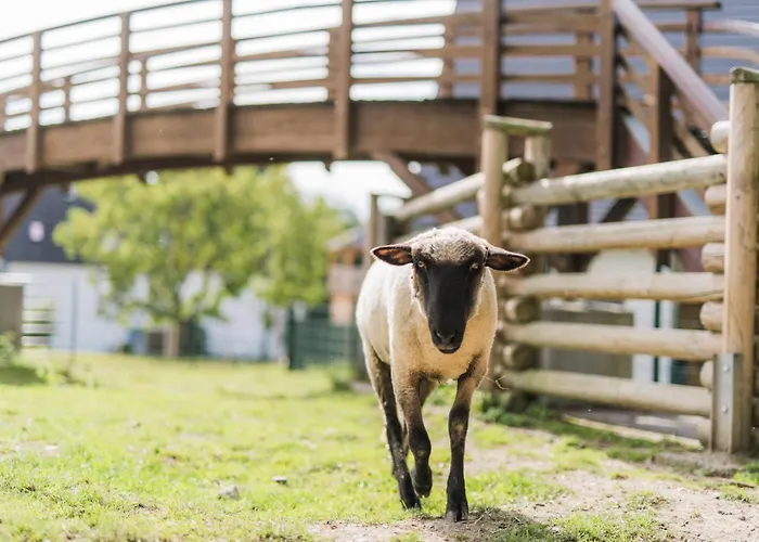 Hof Koehne - Altes - Hase Apartment