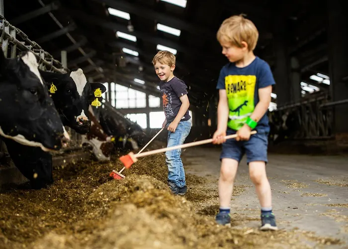 Hof Koehne - Altes - Hase Apartment *