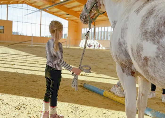 Hof Koehne - Altes - Hase